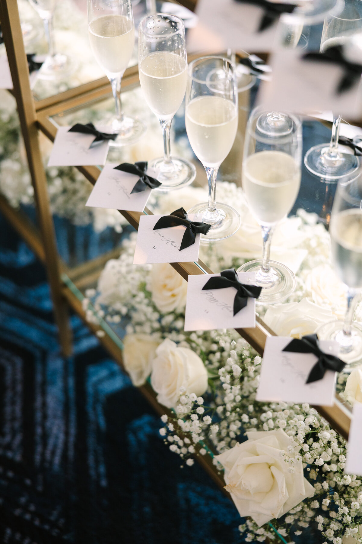 St Louis Wedding Photographer Chase Park Plaza-34