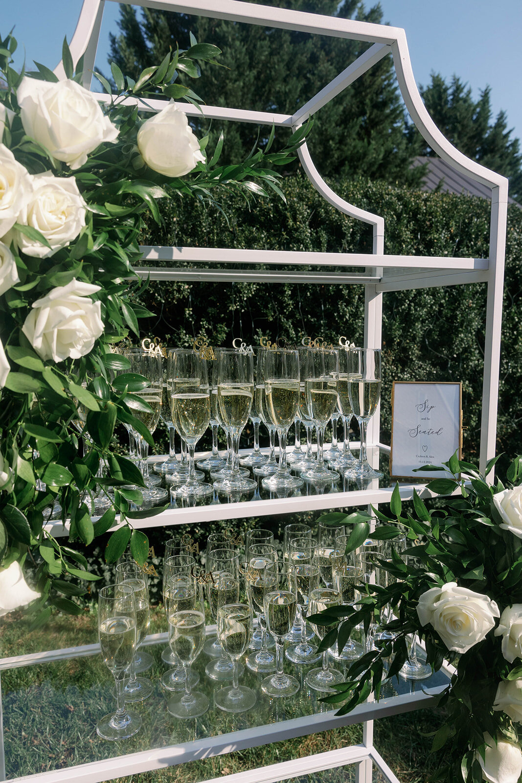 jackiesteele-96_websize