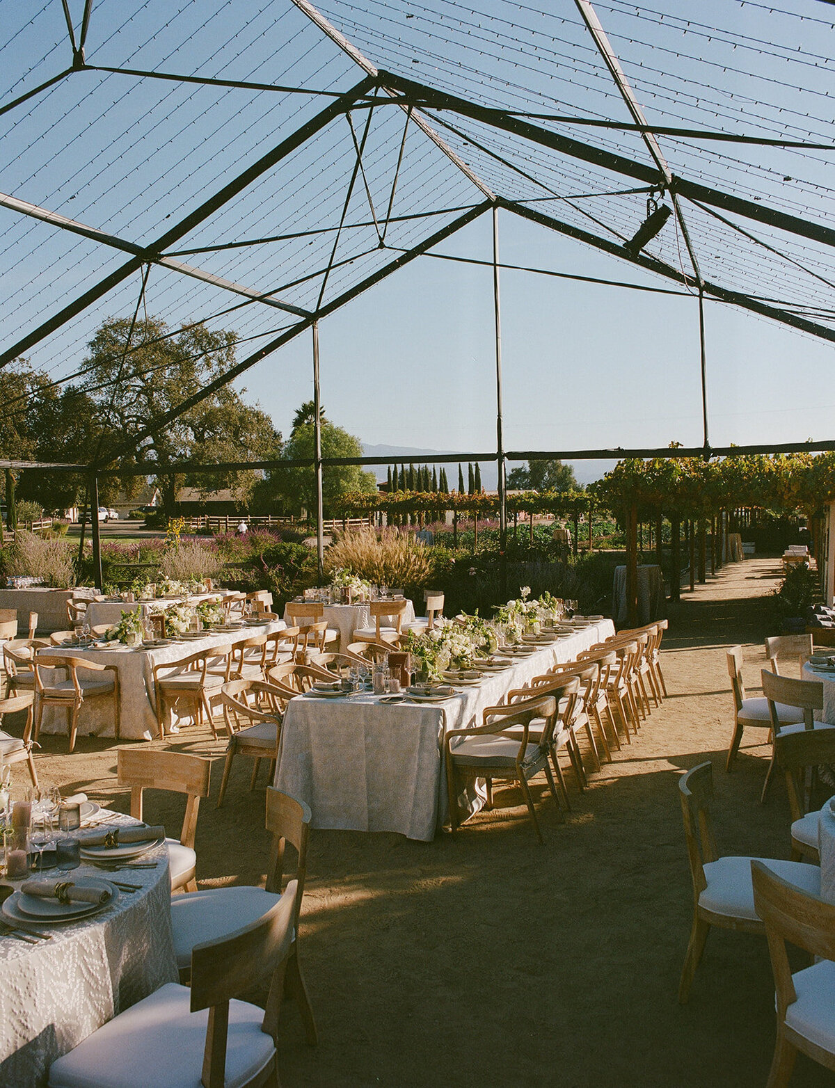editorial-film-wedding-photographer-based-in-los-angeles-and-new-york-city-wedding-venue-Roblar-Farms-santa-ynez-by-rachel-artime-wedding-photography-43729