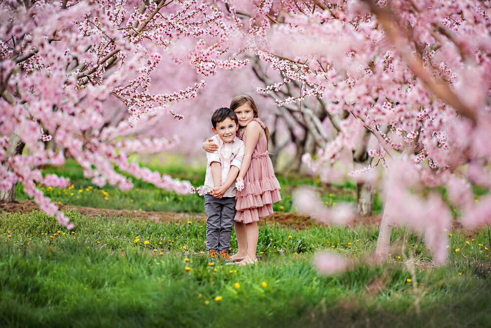 Toronto-Family-Photographer-117