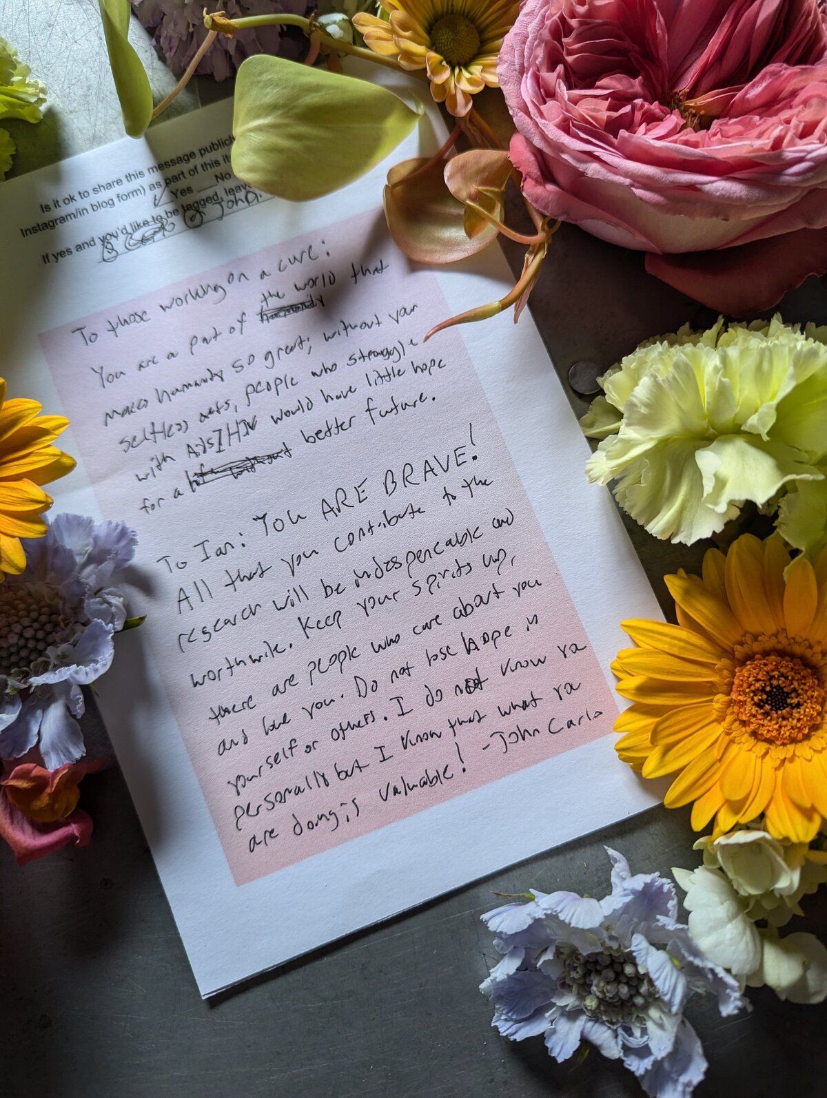 PXL_20240814_130341205