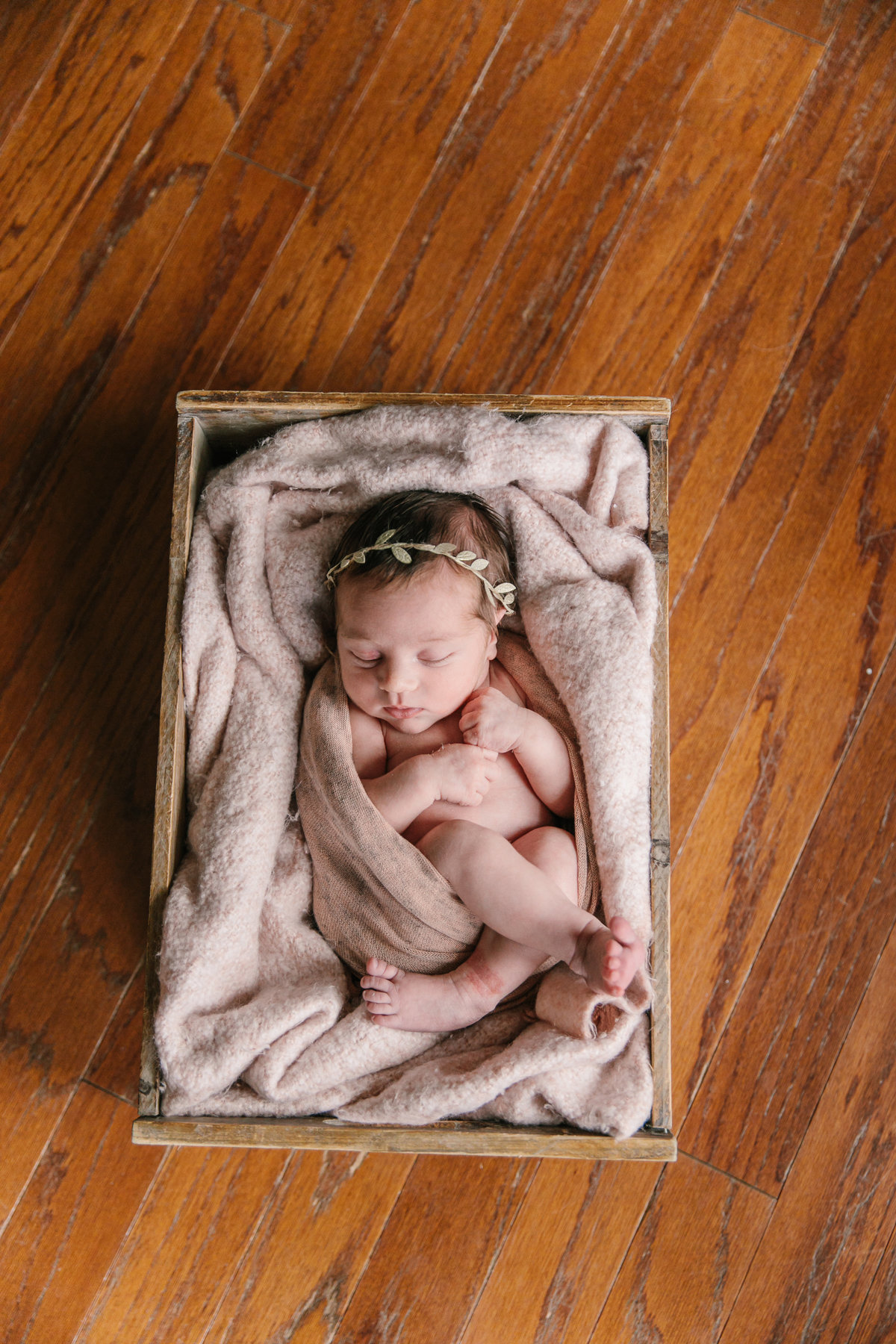 raleigh newborn photographer-lena-8855