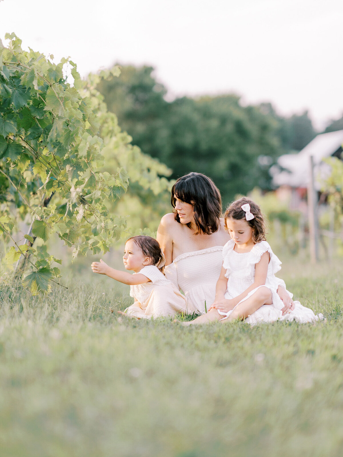 Springdale Family Photographer | Laken Brown -133