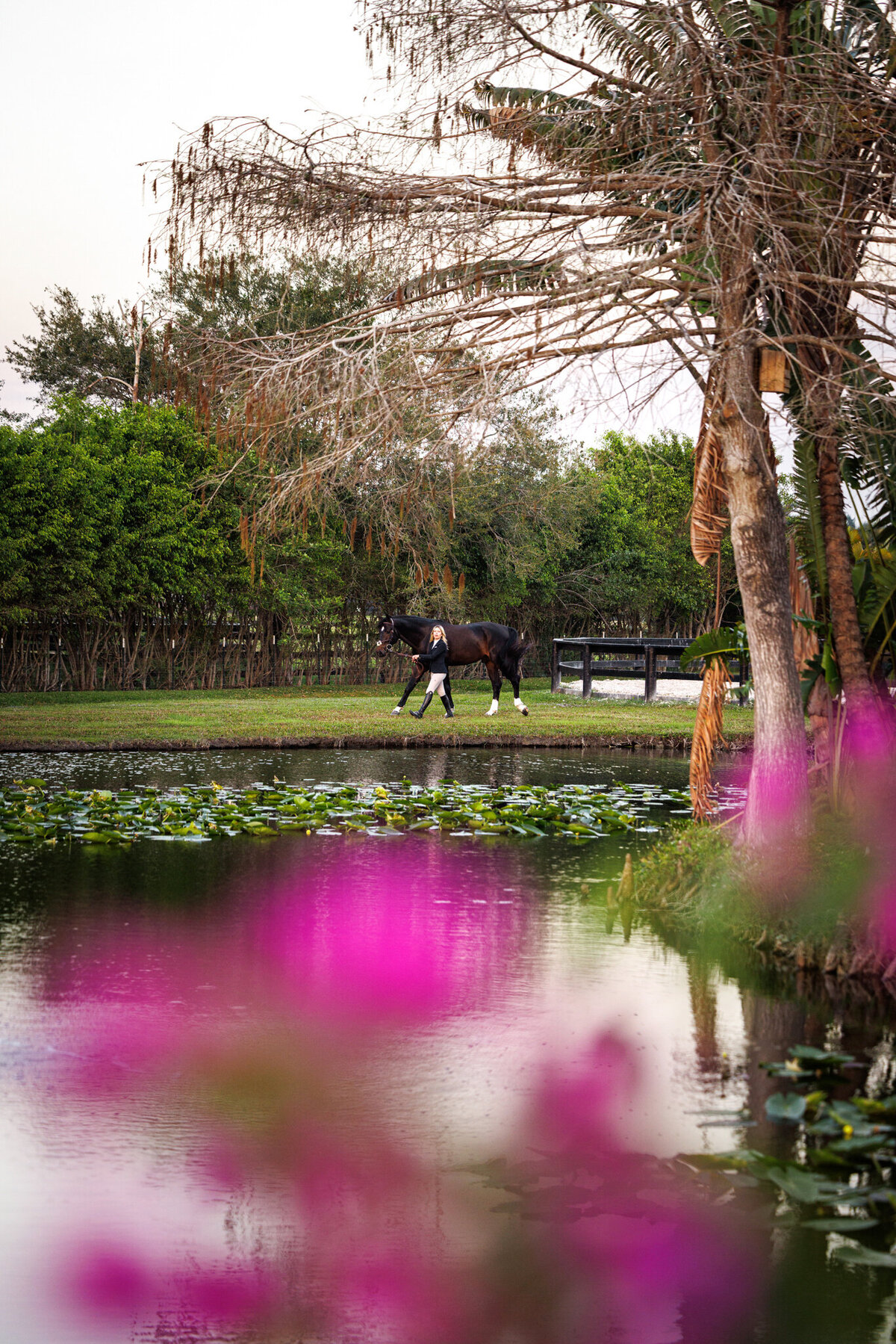 horse-and-rider-florida-session