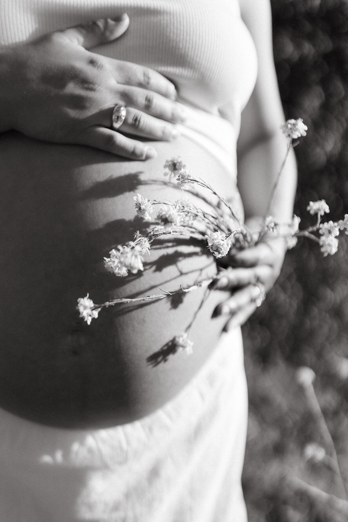 maternity-7343