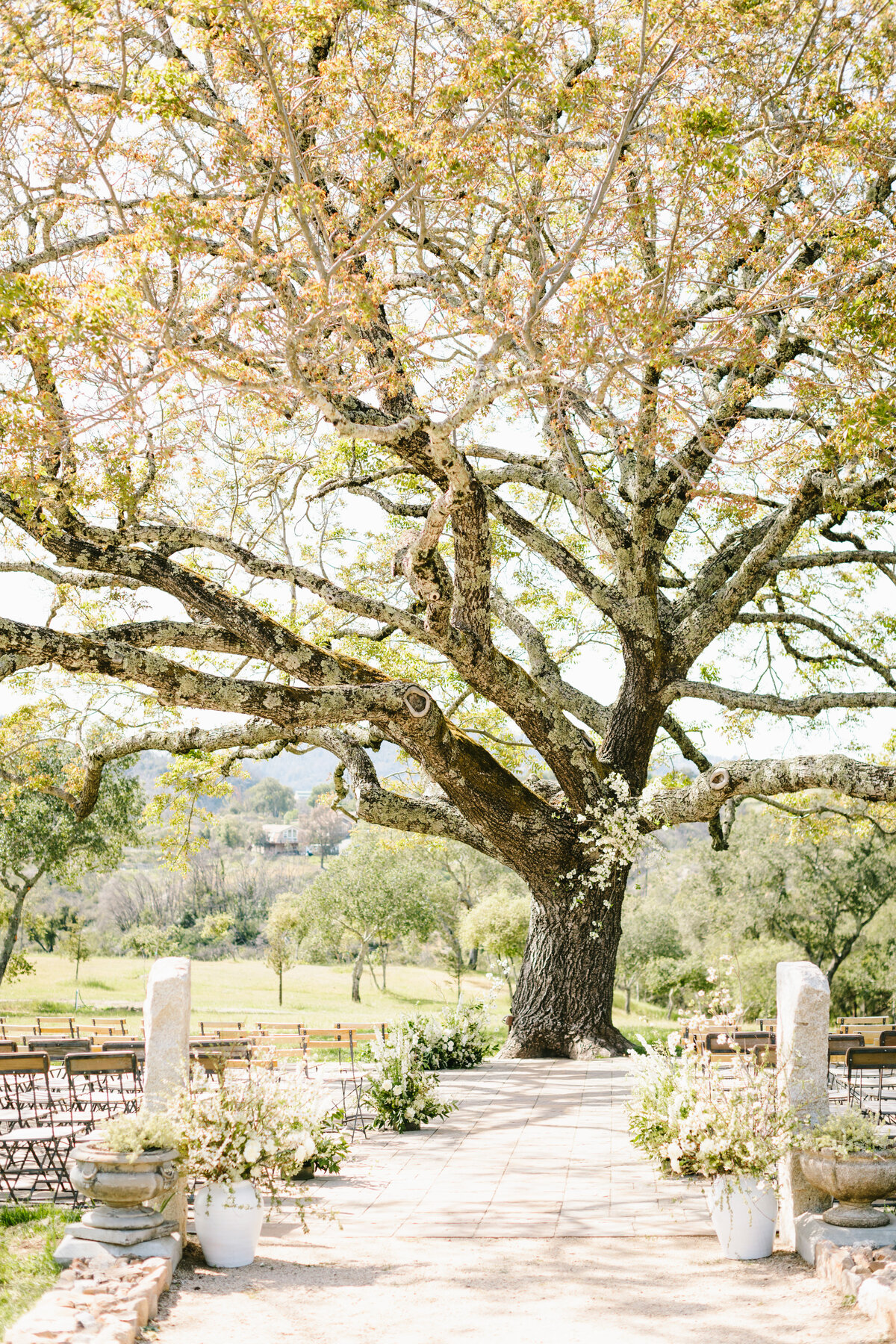 Best California Wedding Photographer-& Co by Jodee-Jodee Friday & Co-5