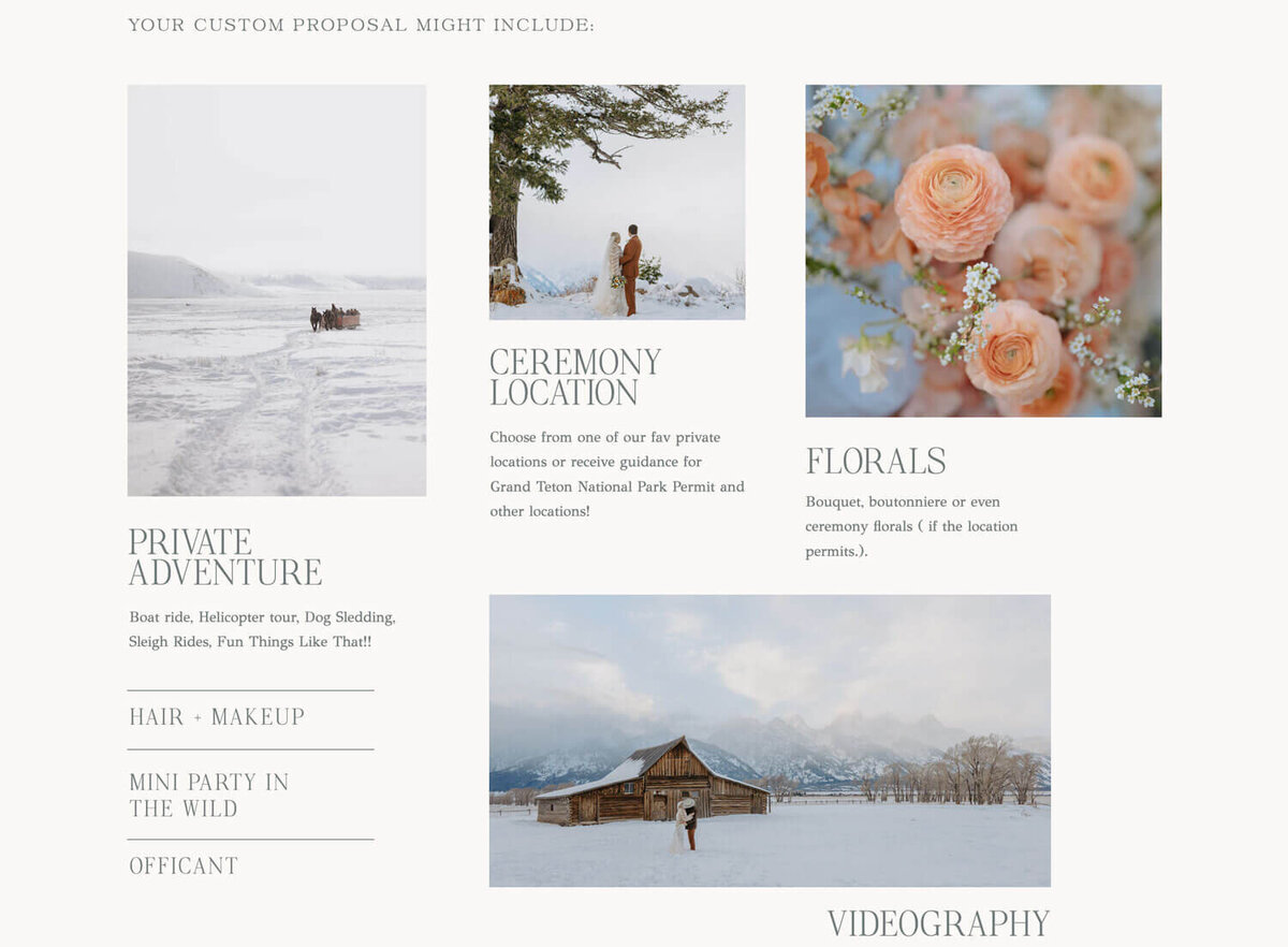 Foxtails-Photography_Custom-Proposal_canva-website
