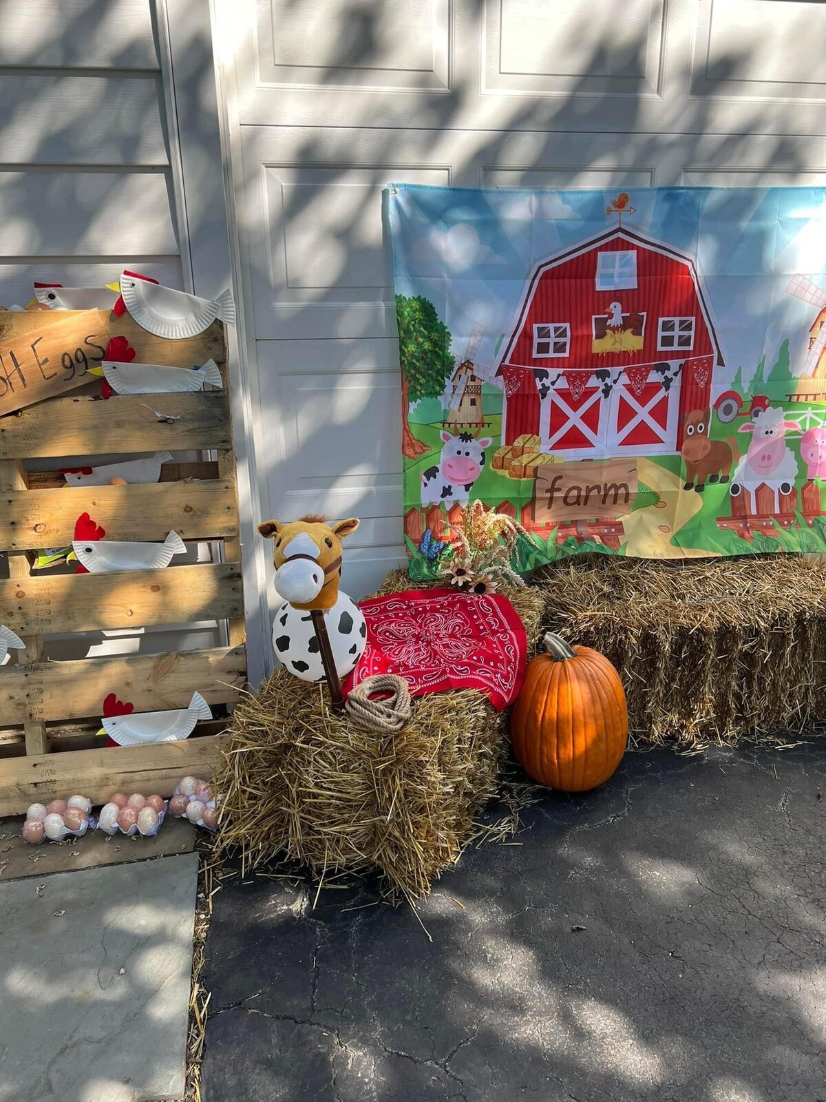 Nora's photo backdrop 