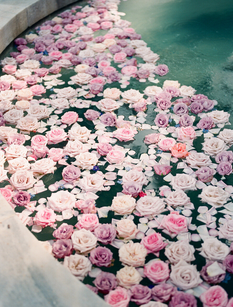 leila-brewster-photography-1991