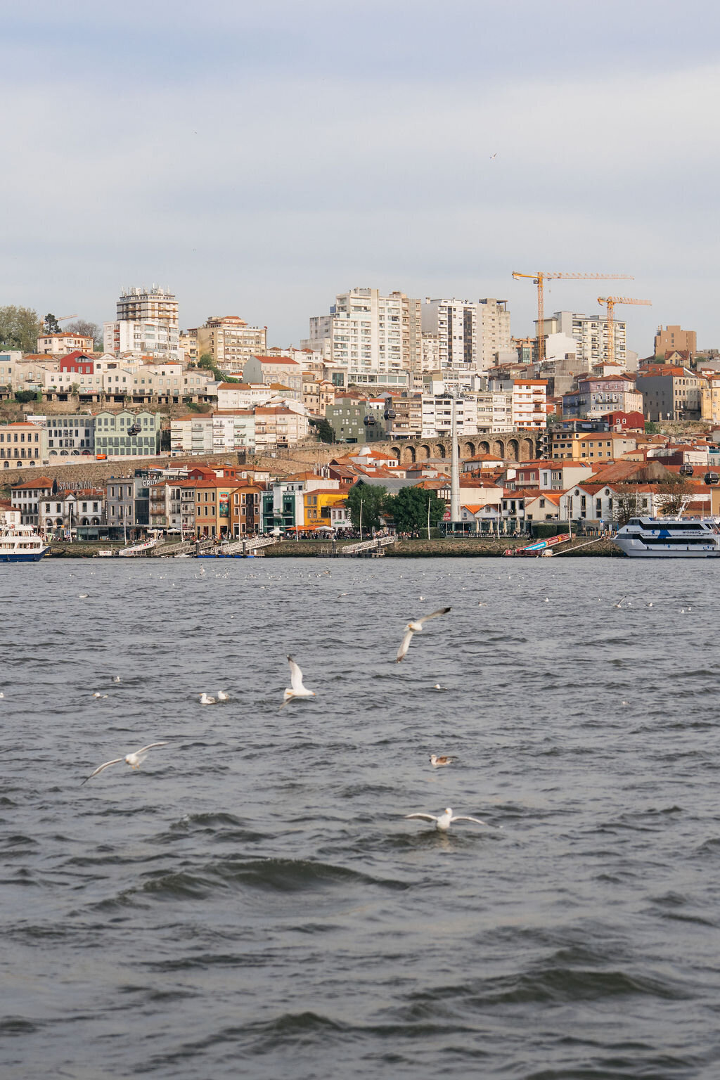 Illuminare-Porto-2025-567