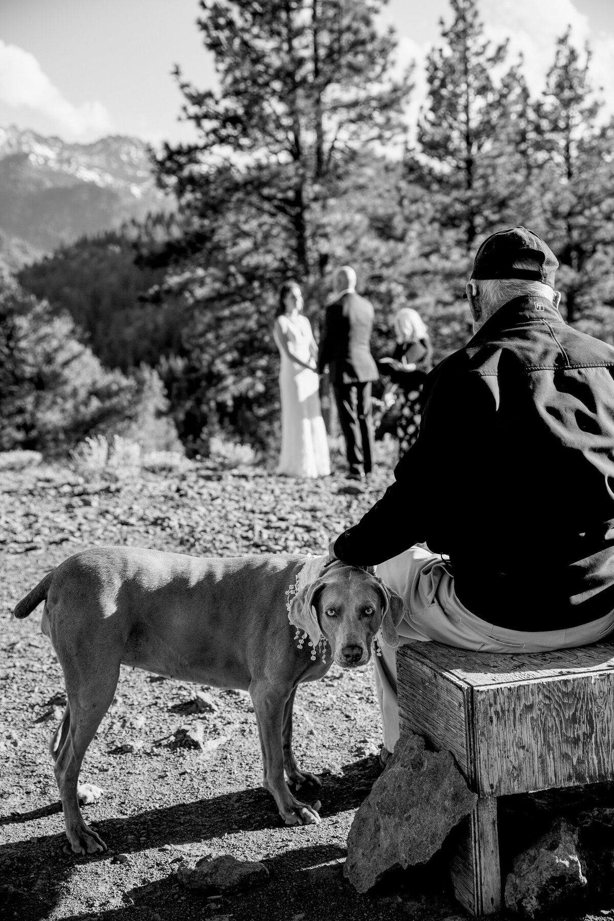 adventure-elopement-tahoe29