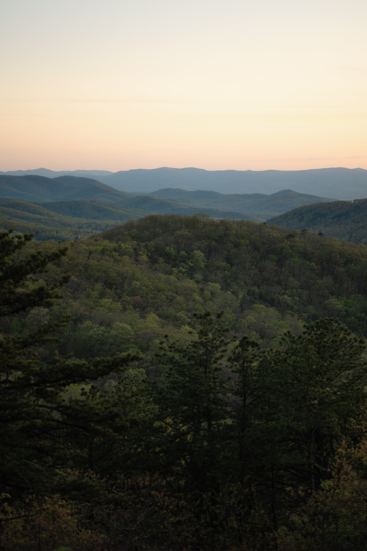 2025_StephWhitehillPhoto_K&J_Engagement-98