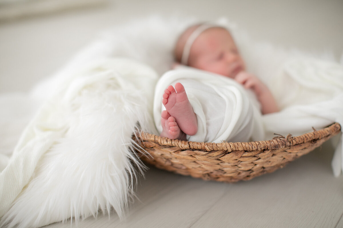 boise-newborn-photographer-2231