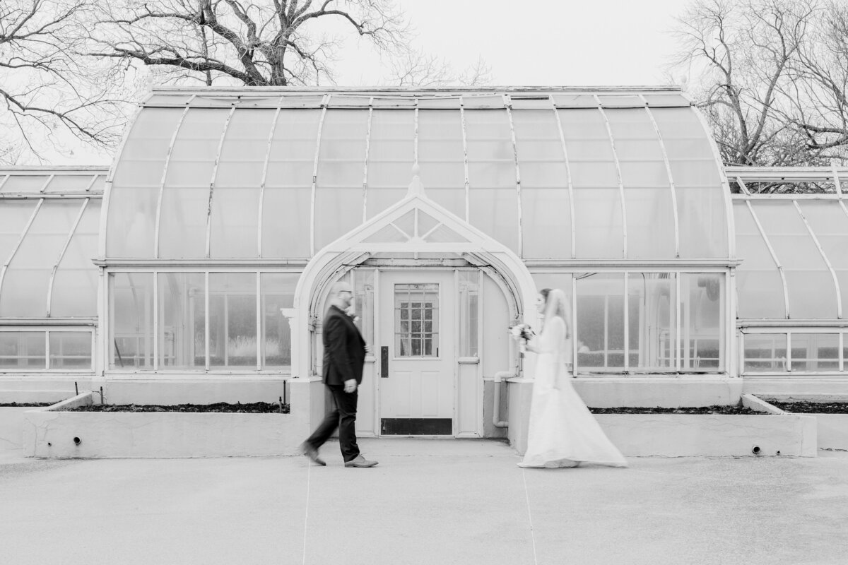 A black and white portrait of a bride and groom walking towards each other in front of a greenhouse at Texas Women's University in Denton, Texas. The bride is on the right and is wearing a long, white dress and veil while holding a bouquet. The groom is on the left and is wearing a dark suit and boutonniere.