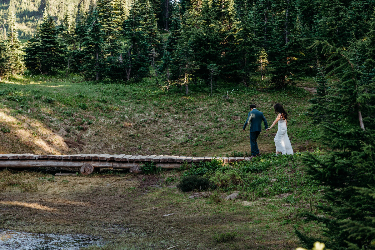 Mount Rainier, Washington Elopement-8625
