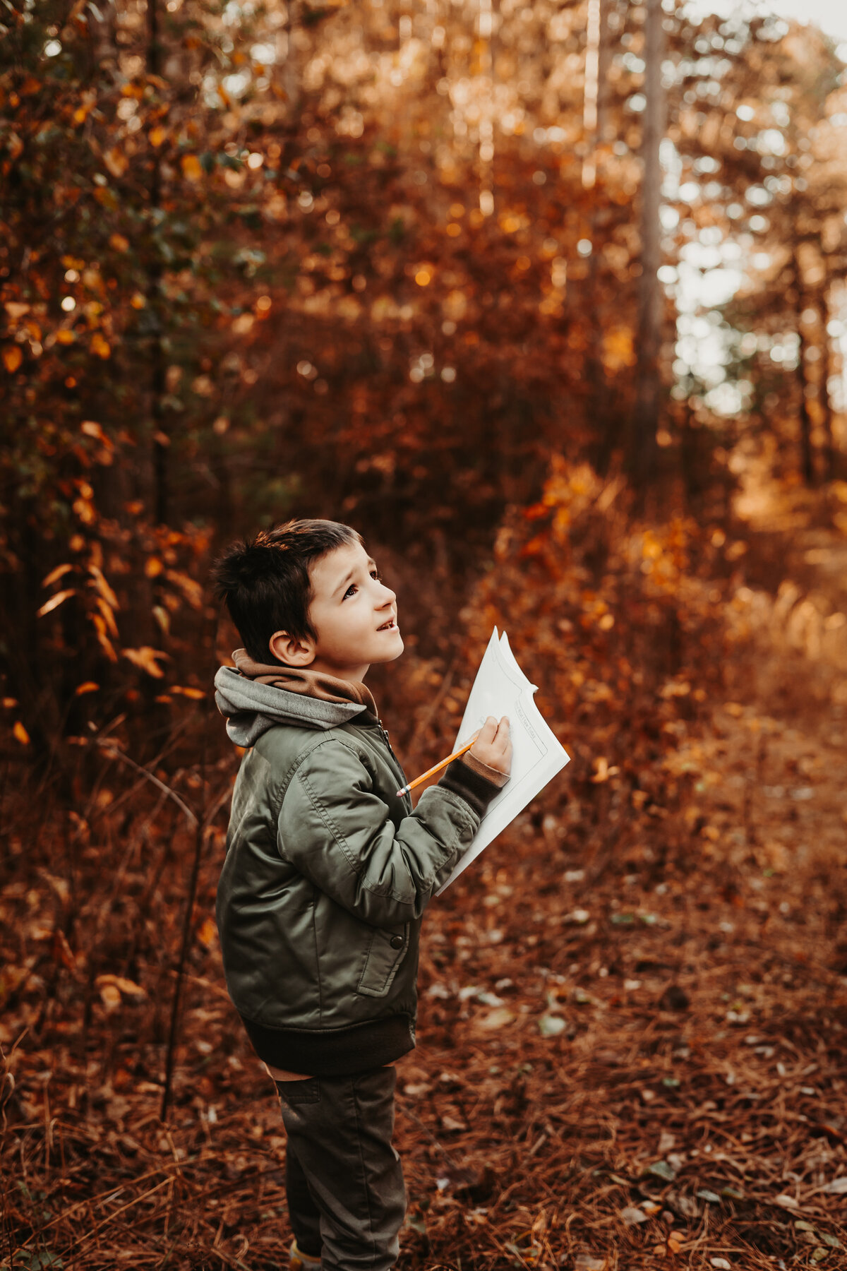 Nature photography - Amanda Nicholle Photography