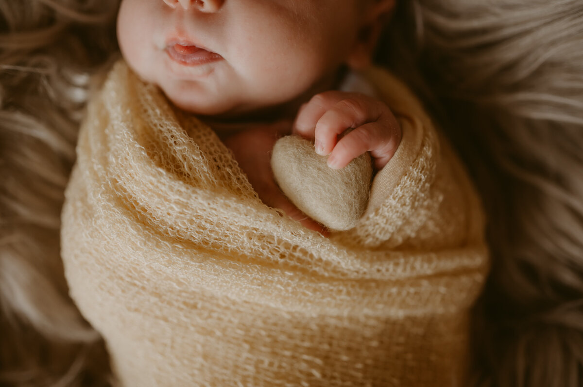 wisconsin-newborn-photographer | Grace + Honey Photo-66