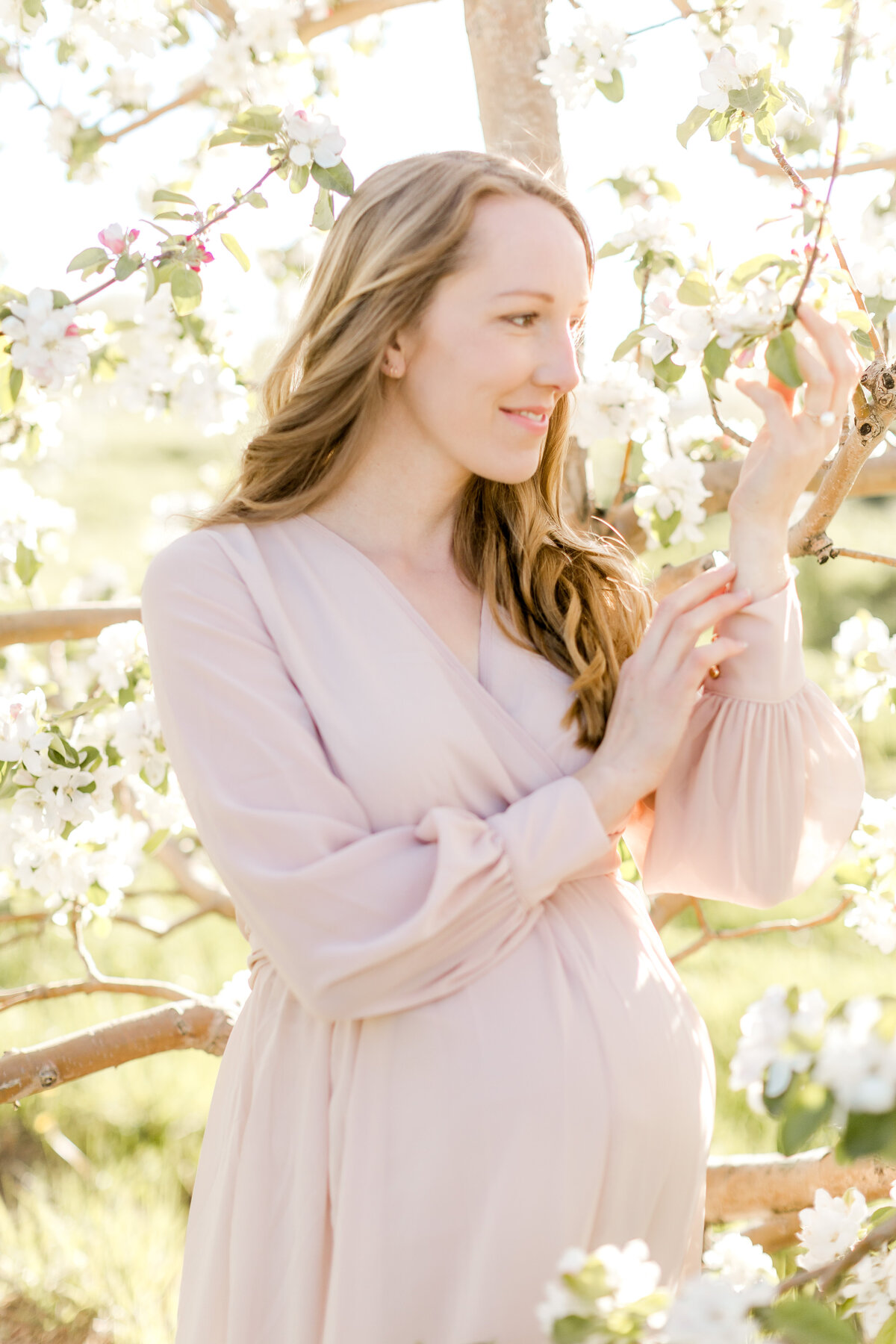 minneapolis-maternity-photographers-best-of-sunset-4