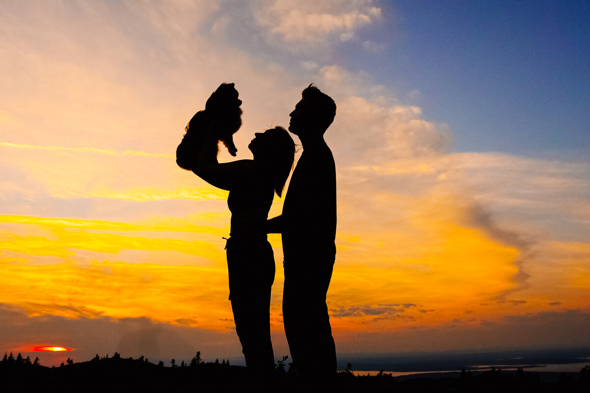 silhouette dog and owner