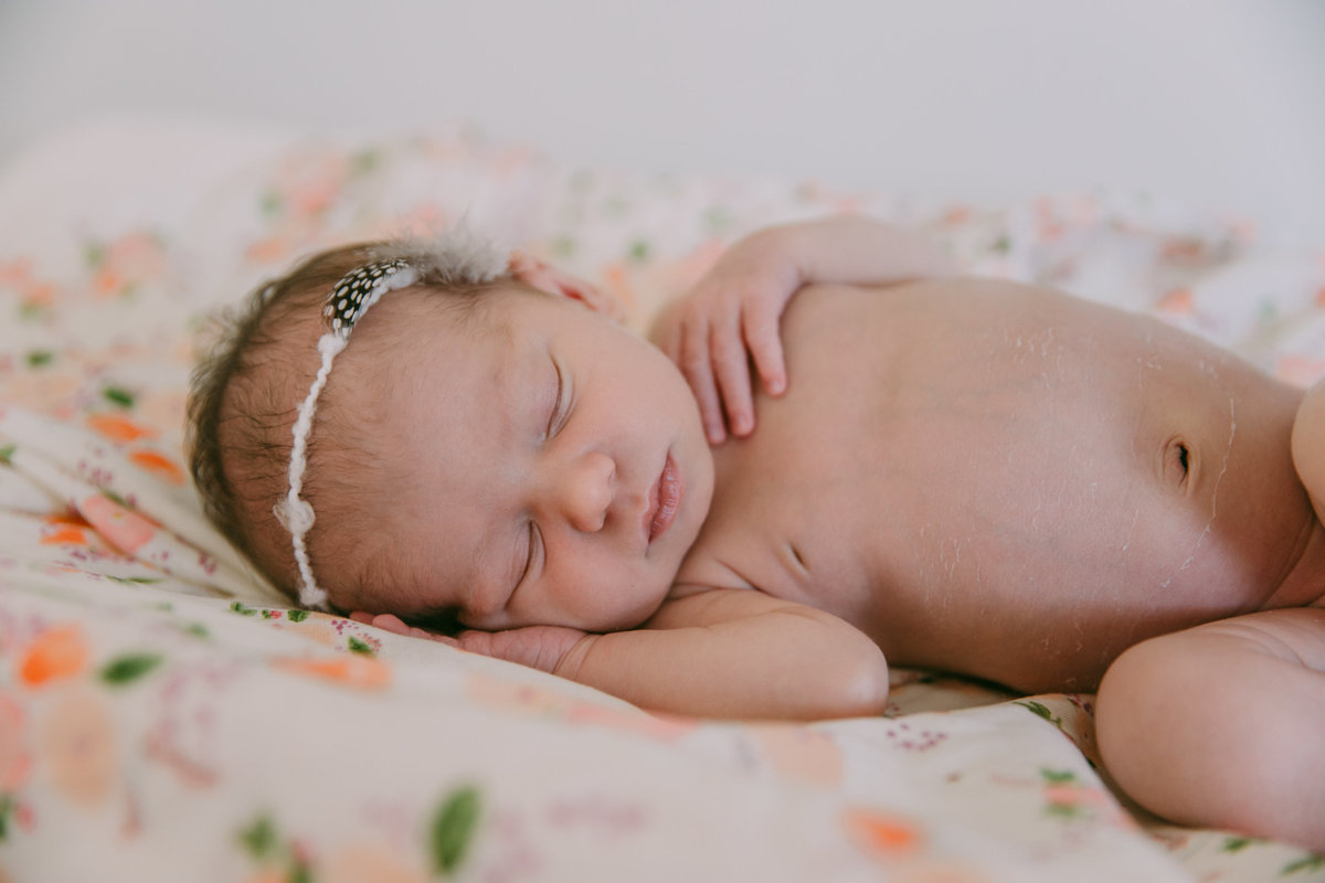 raleigh newborn photographer violet88527