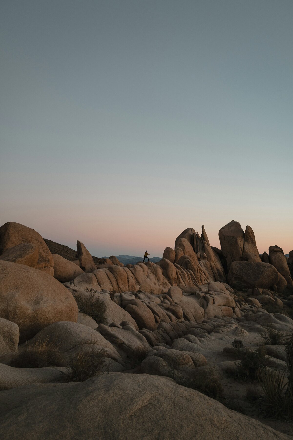 karsten-winegeart-cdP8YP7hyFo-unsplash