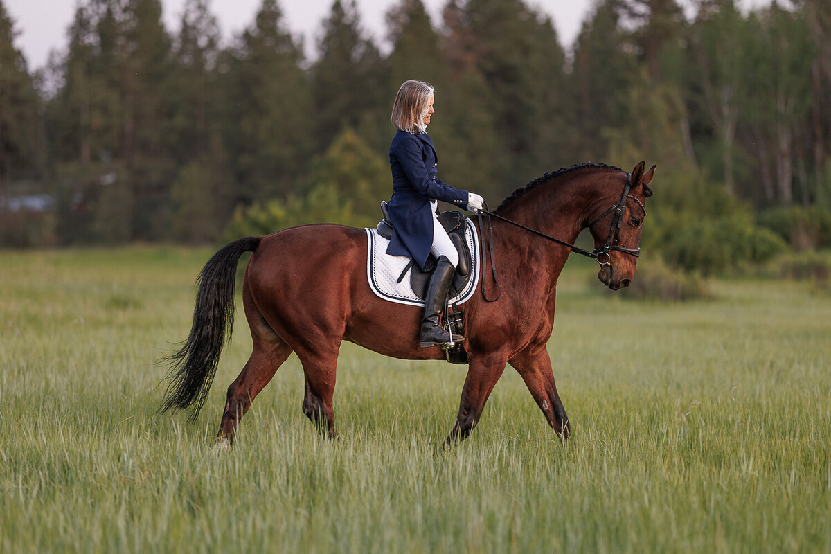 horseandrider_portraits_equine_sessions_photographer (23)