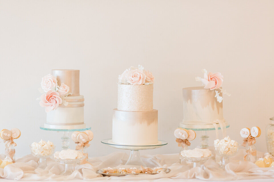 Sarah & Andy 041118-460