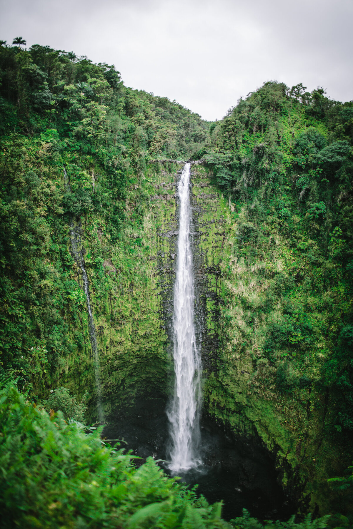 Hawaii by Eva Kosmas Flores-43