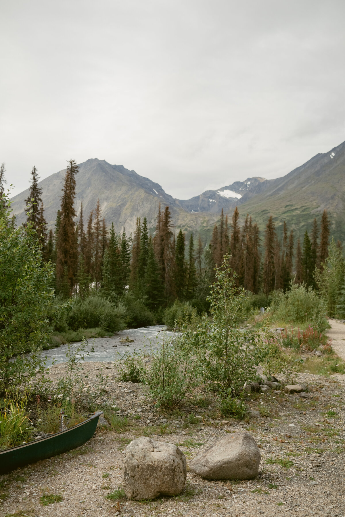 A creekside area in Denali Alaska