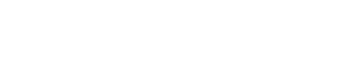 Bianca Nichole and Co logo white