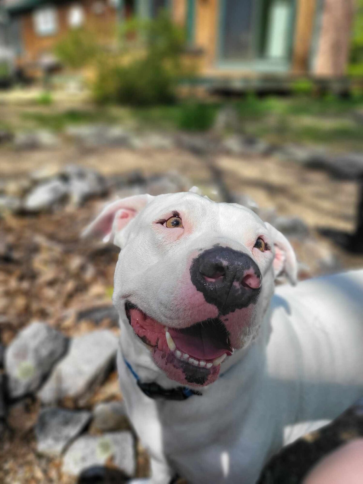 Mazey smile