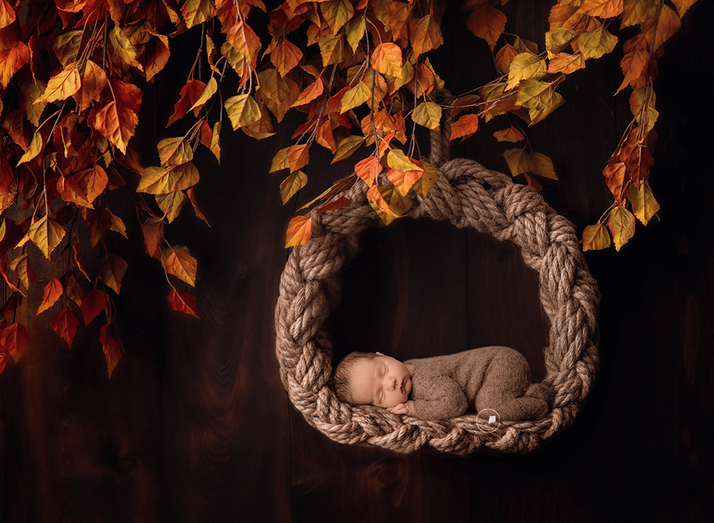Wellington-newborn-photographer-fall