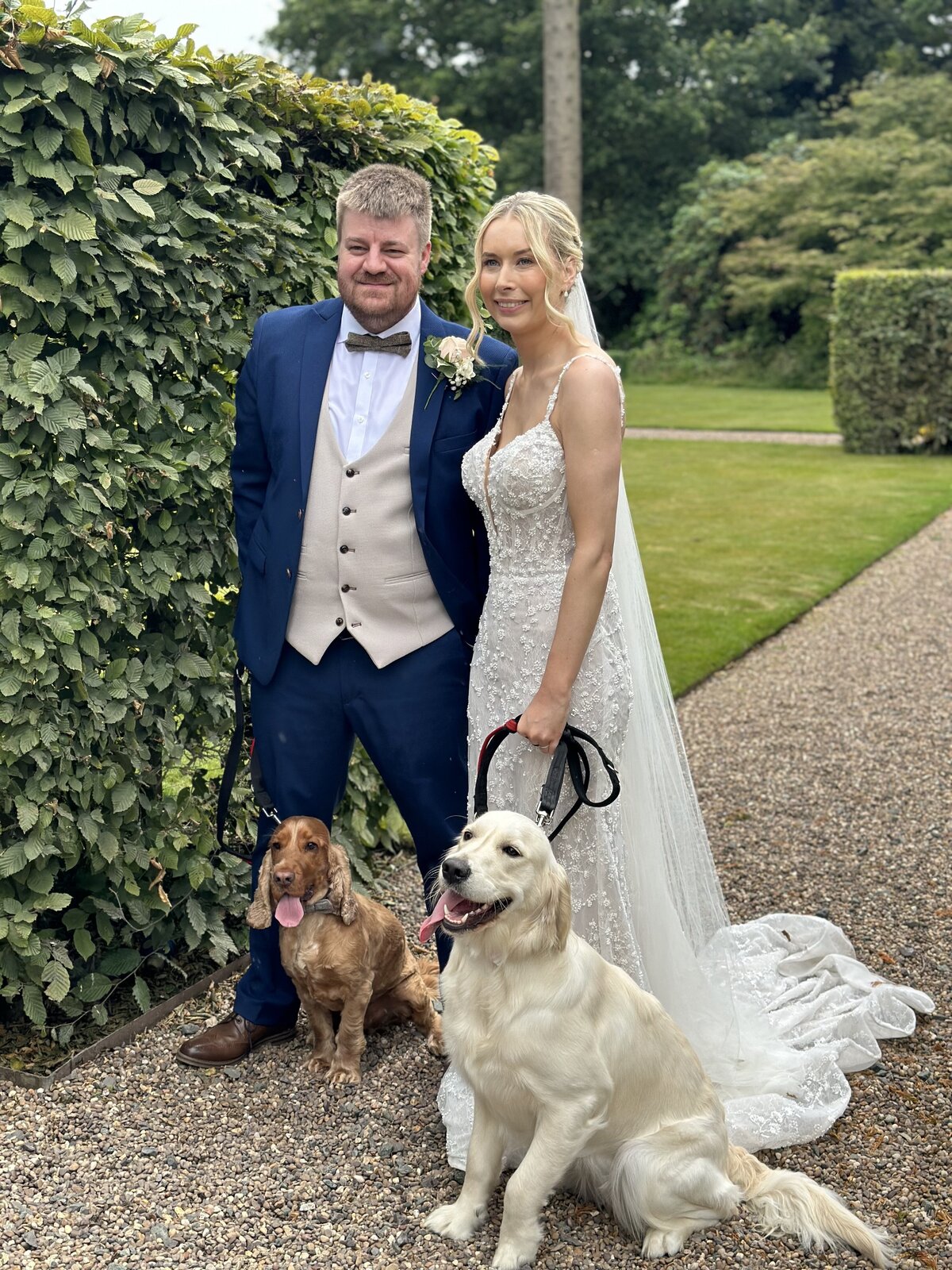 bride and groom with their two dogs