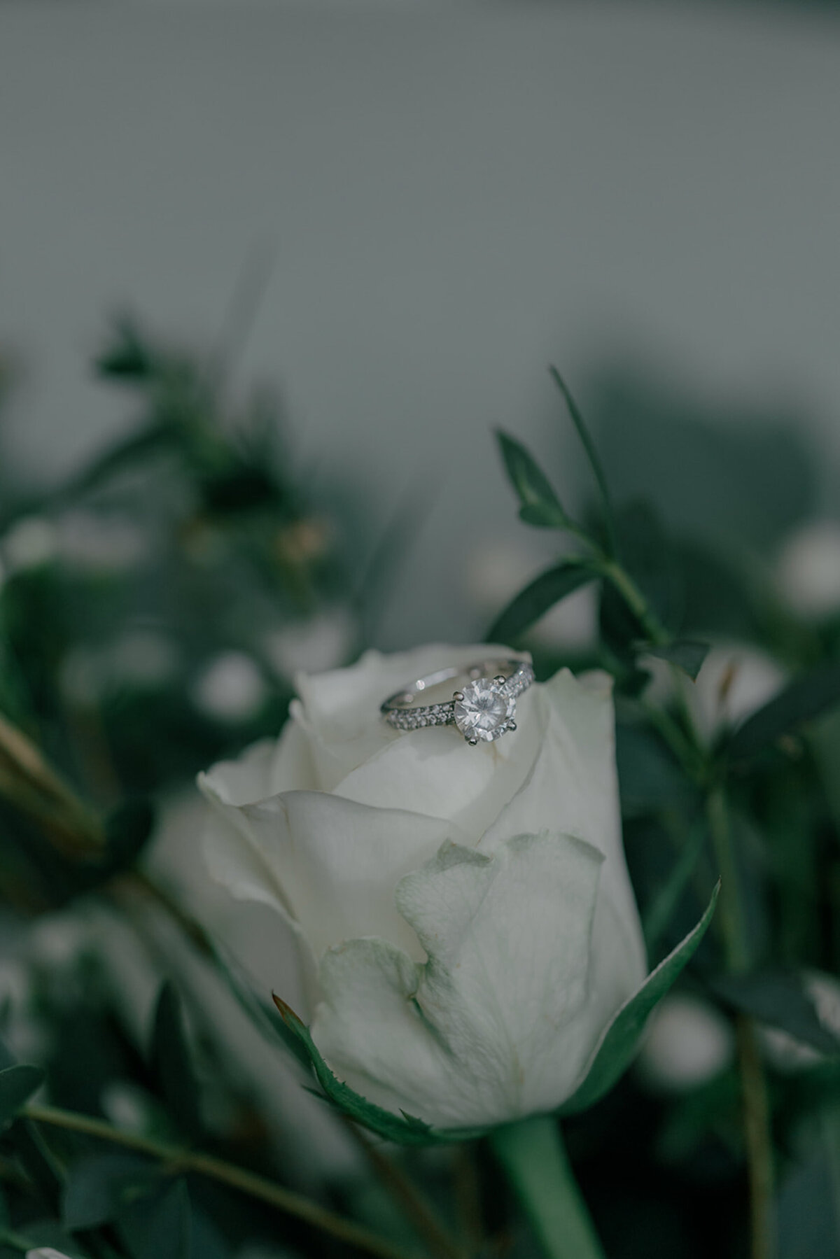 Mount-Juliet-Estate-Wedding-Photographer-Kilkenny-24