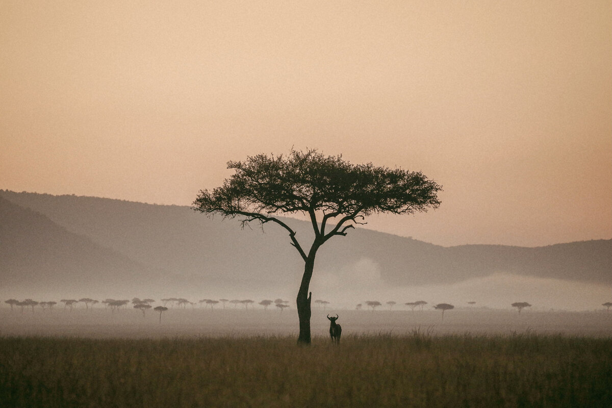 49_kenya_helloemilie