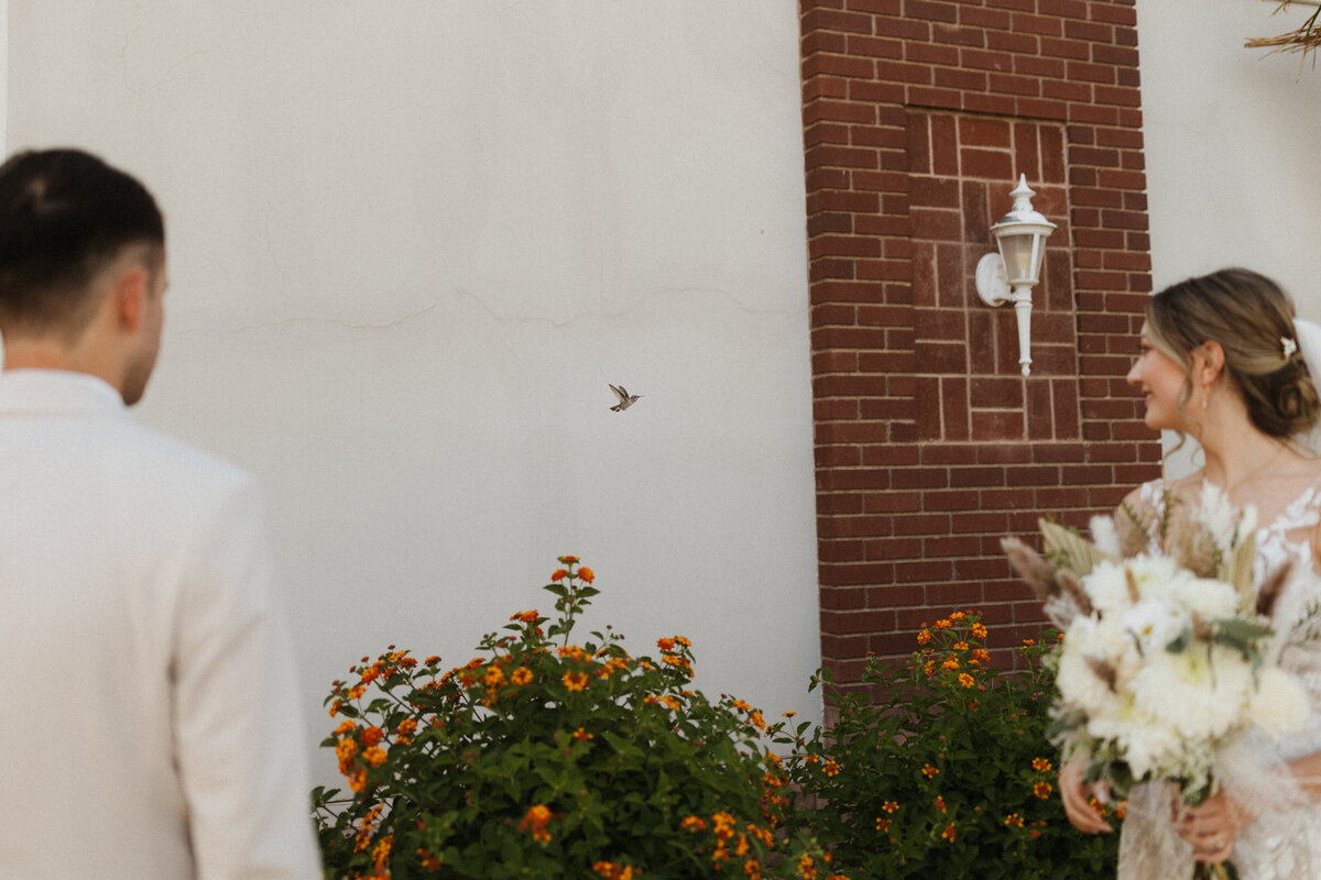 cascade & Canyon photography | las vegas wedding photographer