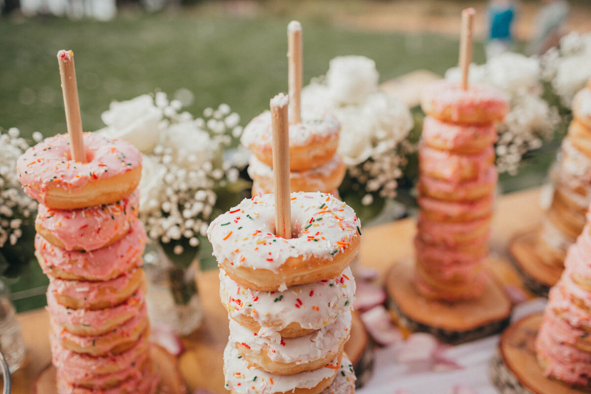 moments-and-mountains-photo-and-film-olympia-lacey-tacoma-wedding-tumwater-JI (154 of 71)