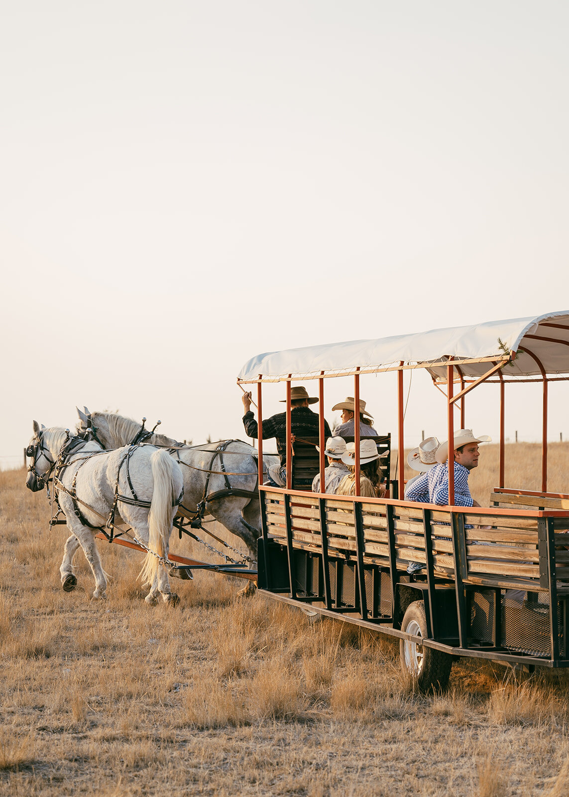 presley-gray-photo-rustic-western-montana-wedding-2161