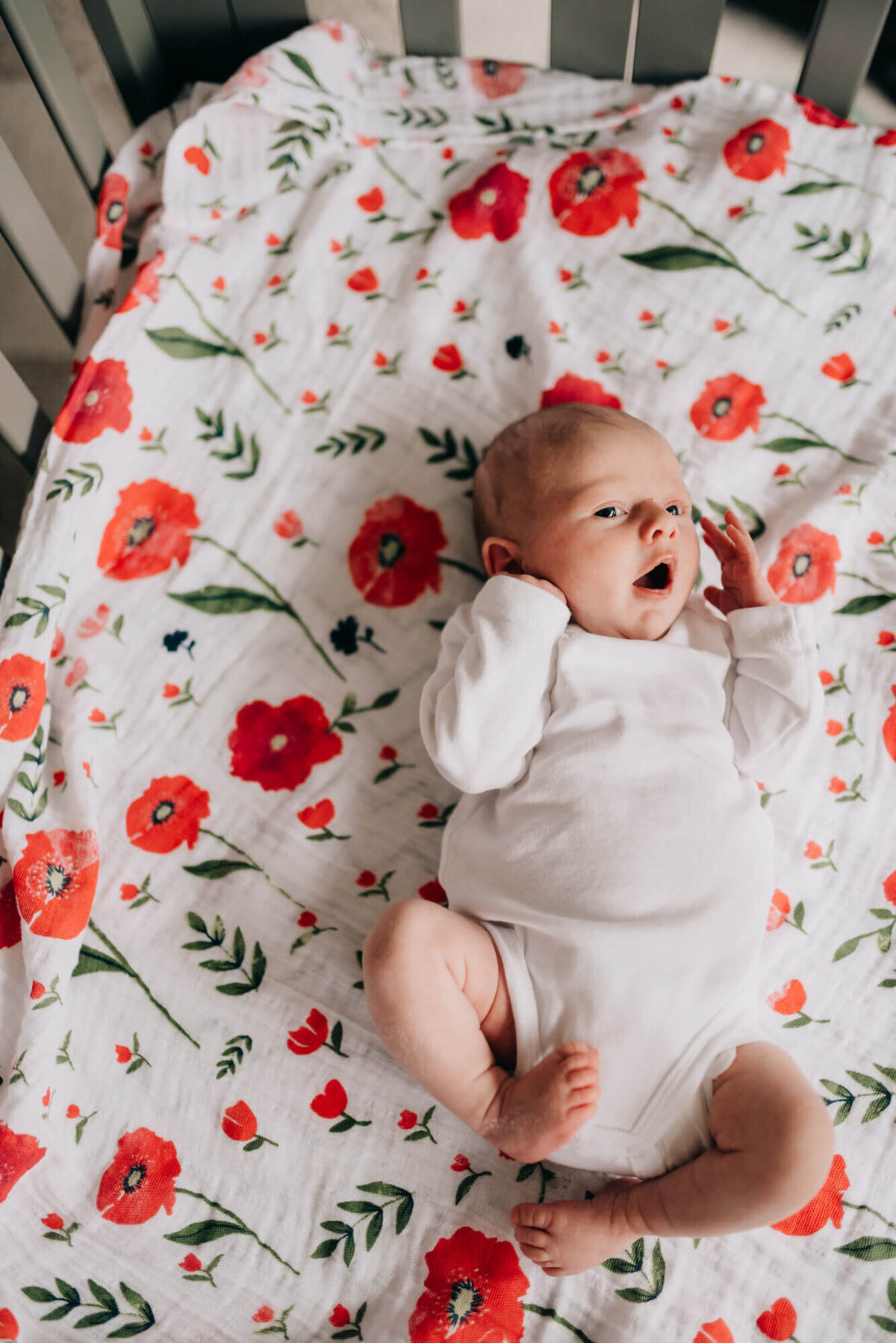 south-shore-newborn-photographer-4-6