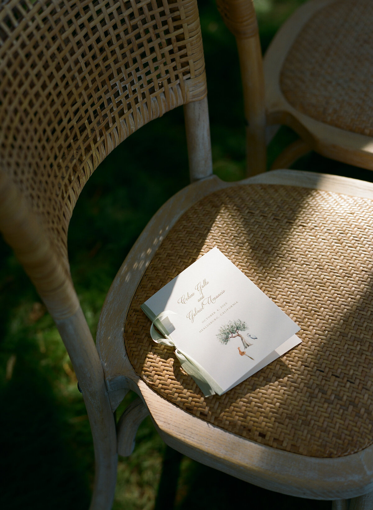 DT-2025-Celine & Gabe Highlights-67