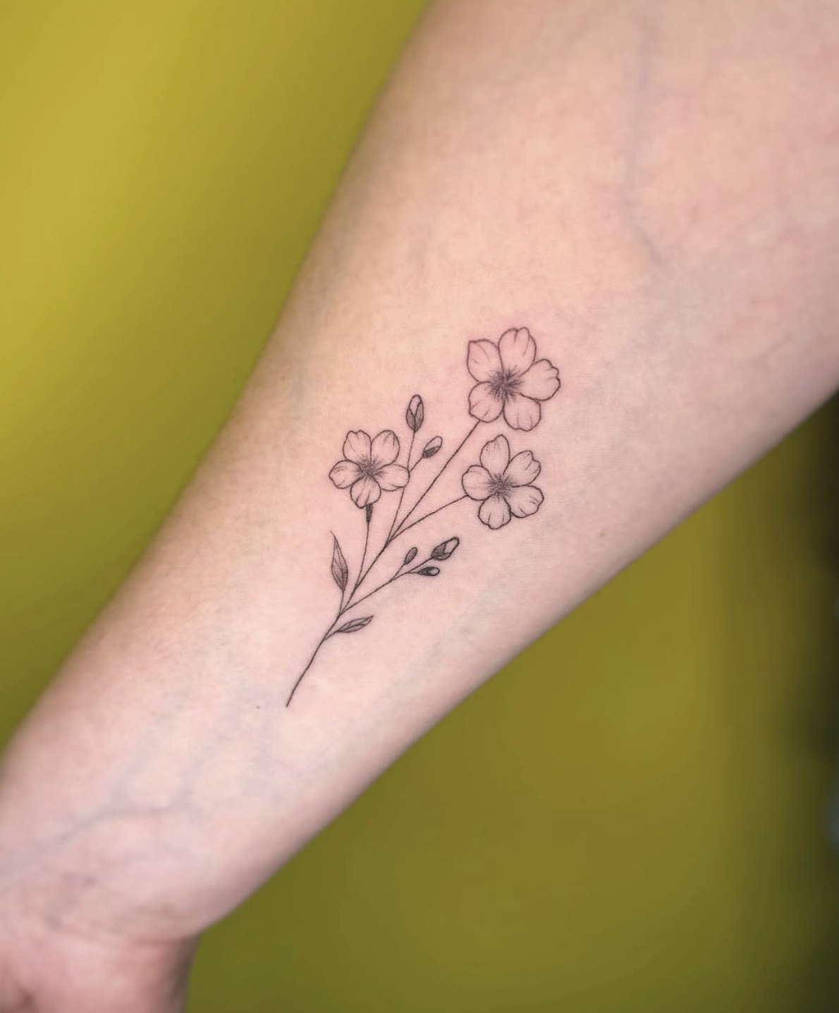 Screenshot 2025-11-26 at 12.17.27 PM