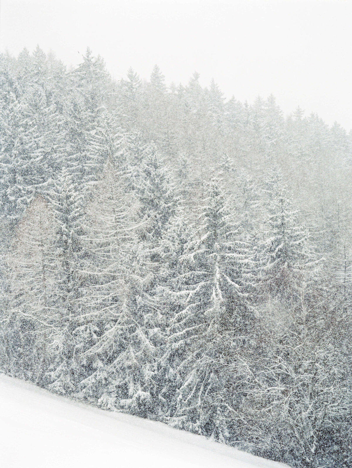 061-Mountain Winter Fine Art Photography