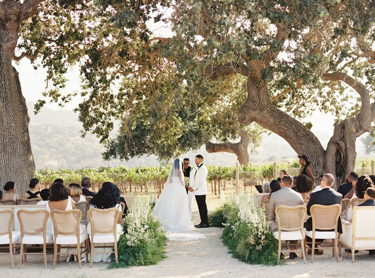 outdoor ceremony with the bride and groom exchanging vows under an old tree