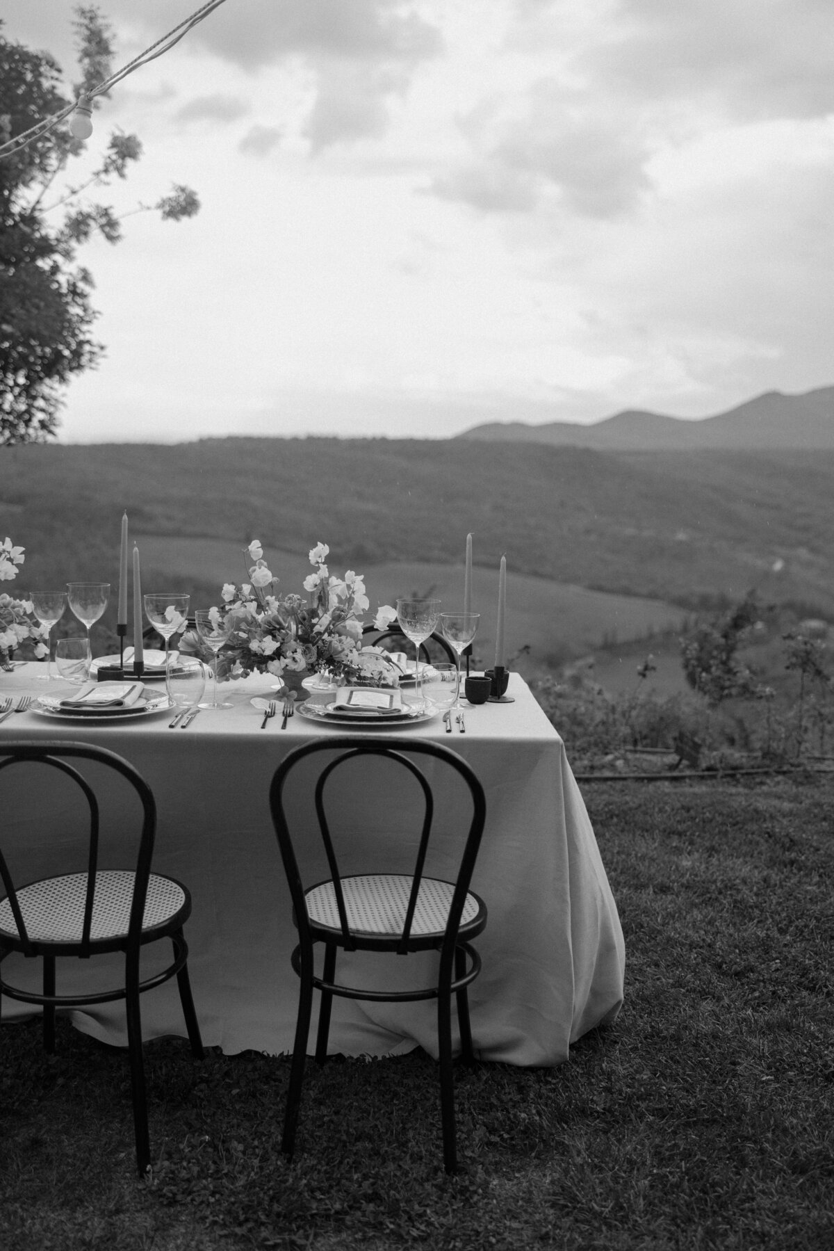 LizSchneiderPhoto-1722-2