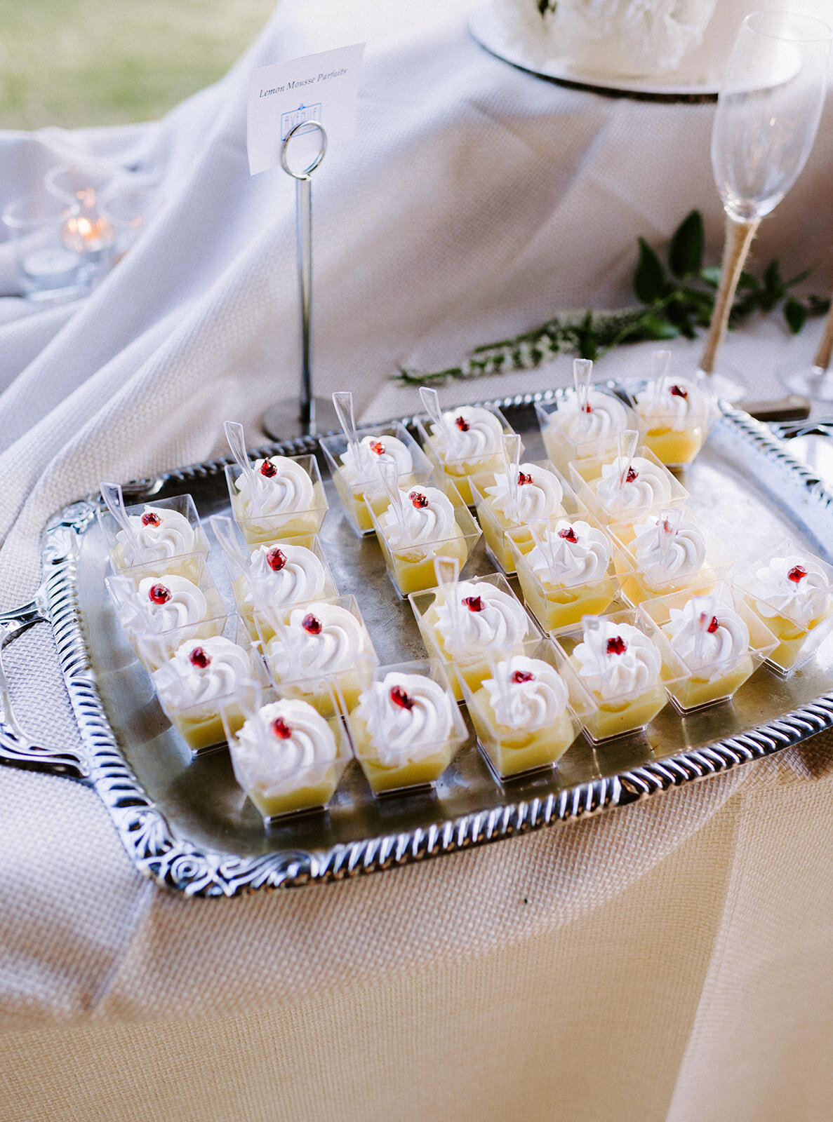 julia_brad_wedding_LVP_818