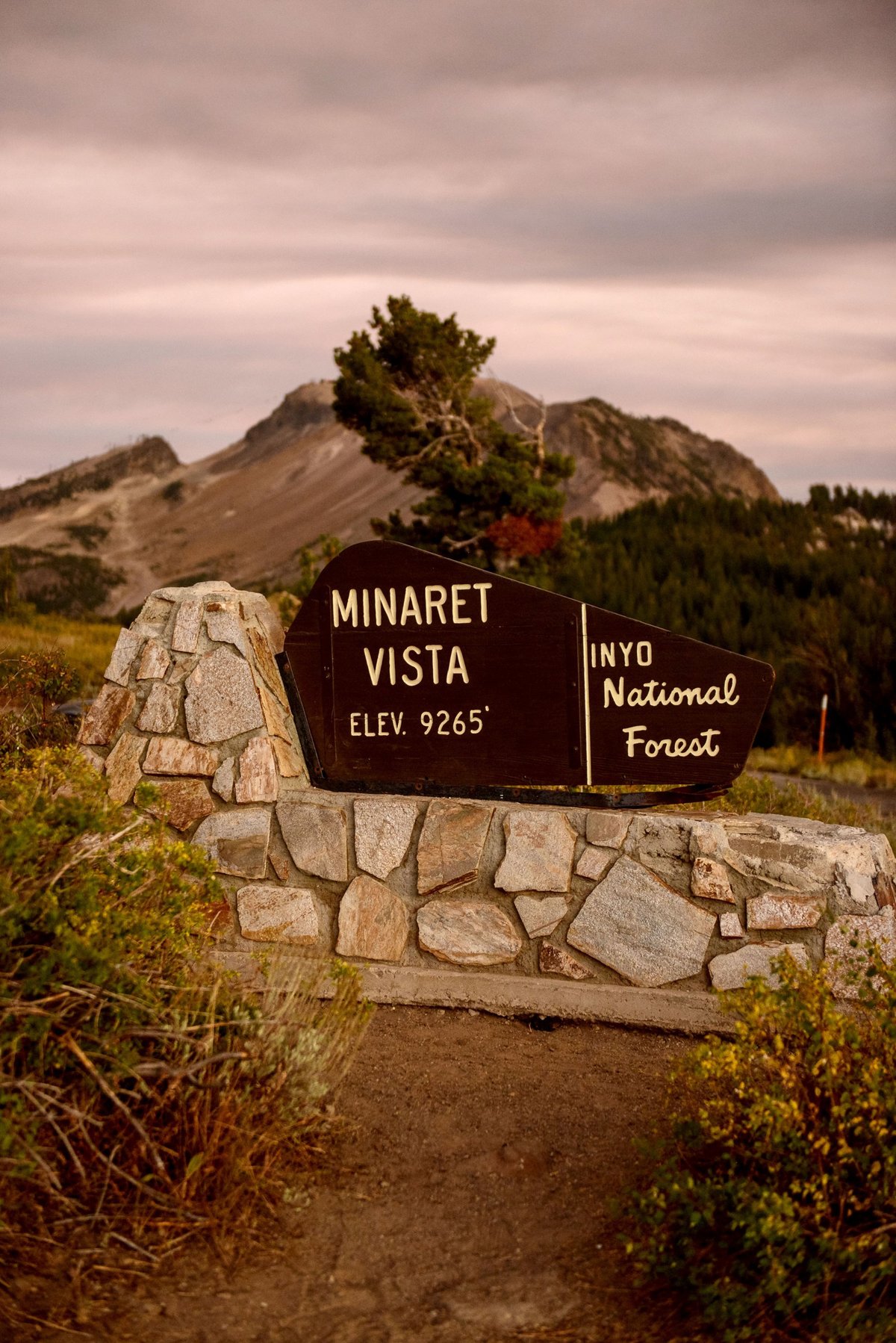 Mammoth Lakes Tamarack Lodge Wedding Photographer