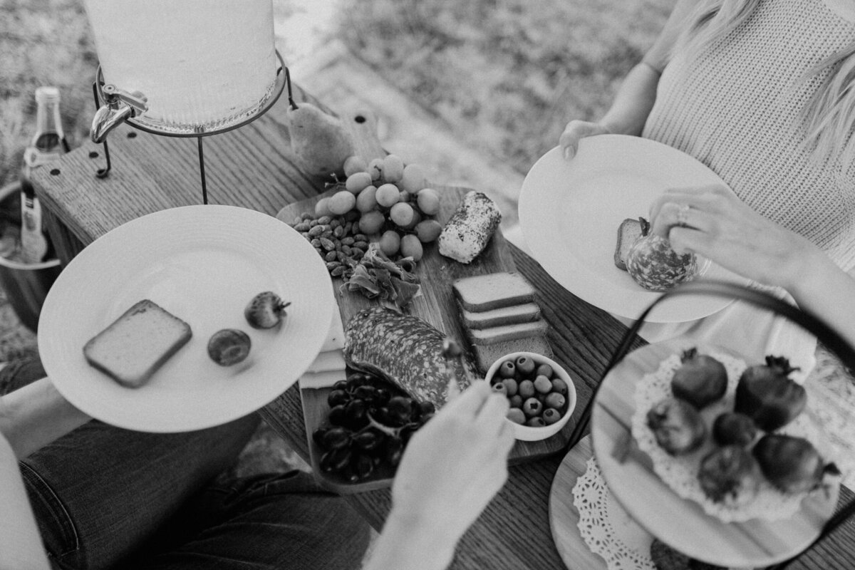 picnics by rae-7237