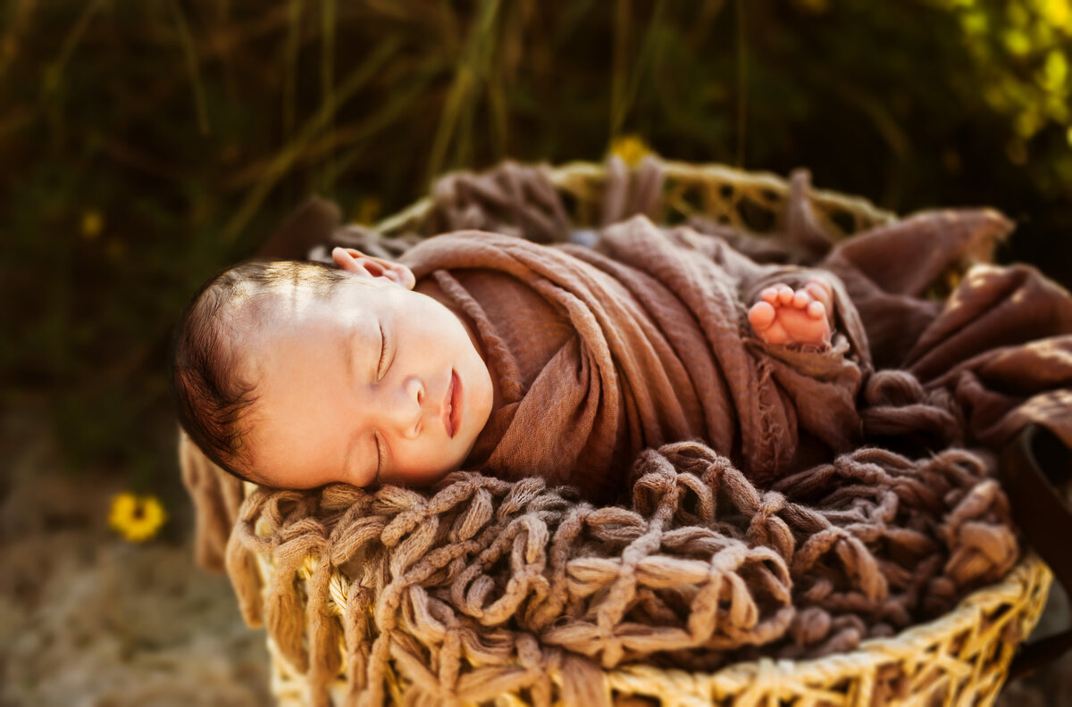 a warm toned newborn photo of a baby swaddled laying in a boho basket surrounded by wild flowers on the beach