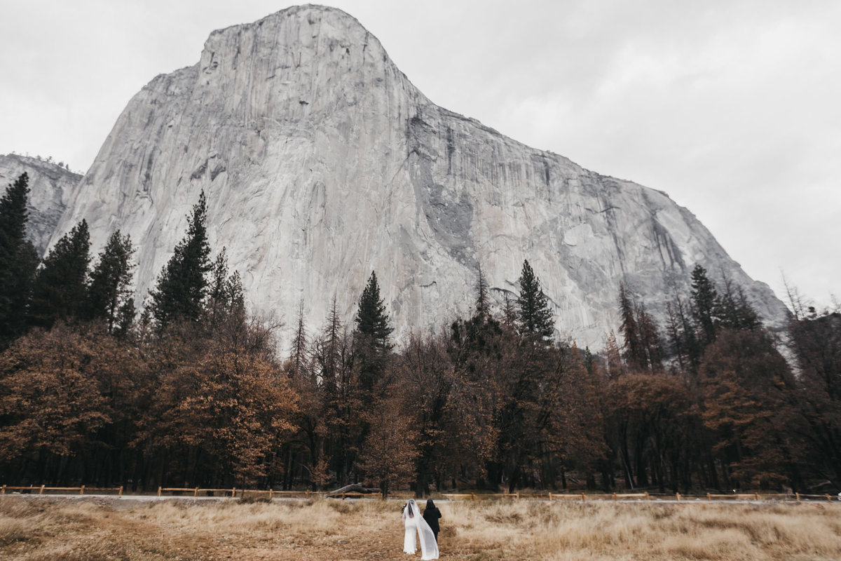 athena-and-camron-how-to-elope-in-yosemite-valley-ceremony4