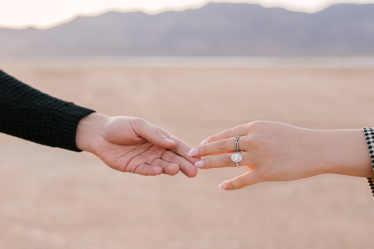 Previews-ShahabGinaEngagement-004